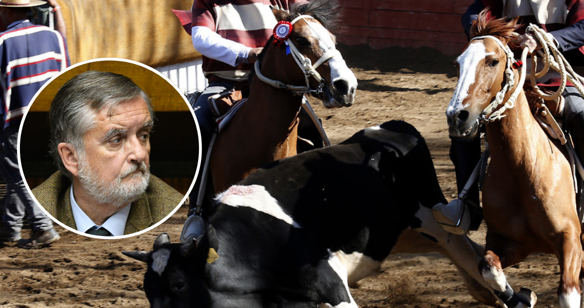 Ministro Undurraga defiende el rodeo: “Es una tradición arraigada en lo más profundo de nosotros”