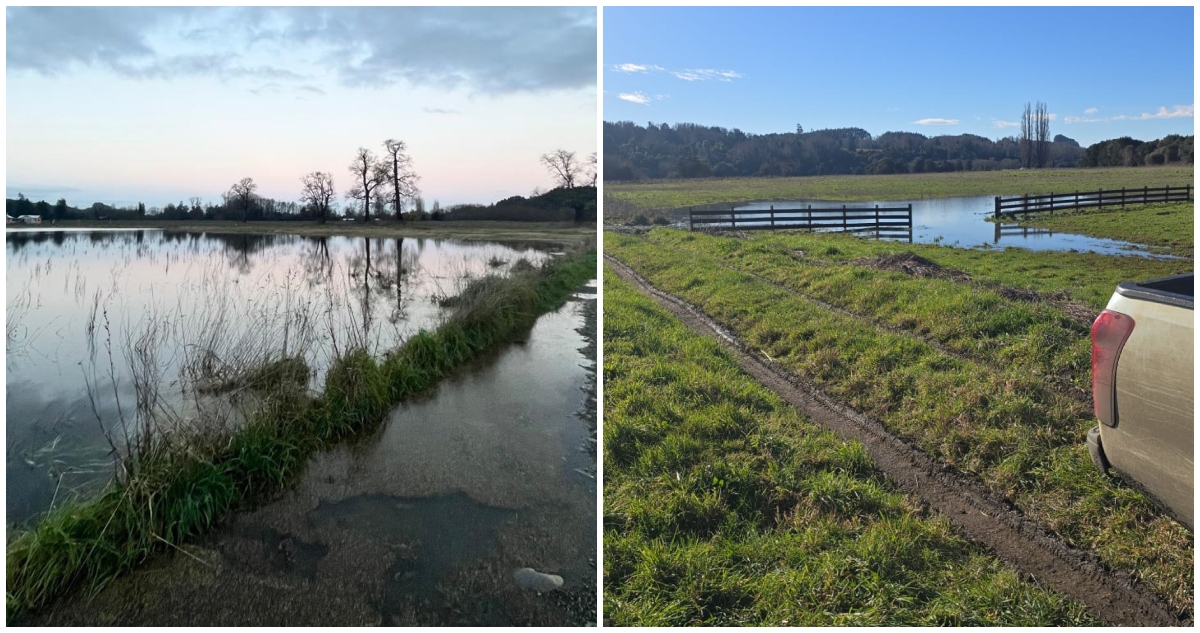 Compra de parcelas inundables en provincia de Osorno