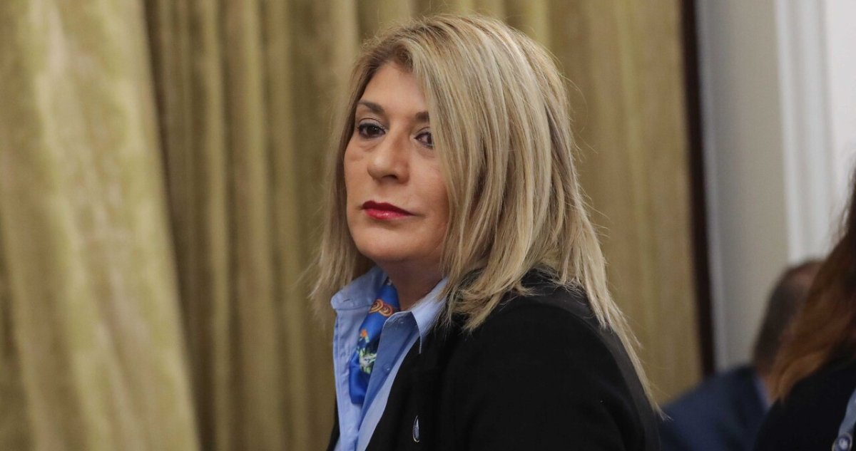 Sala Cuna Universal: diputada Parisi (PDG) propone fórmula que incluye al papá y a su empleador