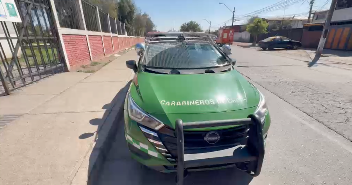 Perros callejeros se abalanzan contra carabineros y permiten escape de un detenido en La Pintana