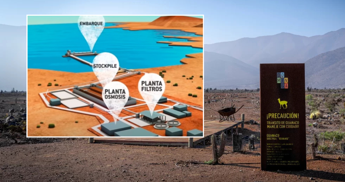 Polémico proyecto Dominga inicia obras pese a dudas sobre su legalidad y reactiva ofensiva ambiental