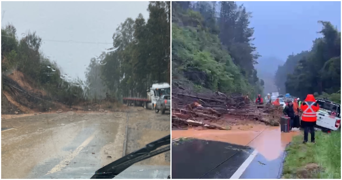 Ruta de la madera cortada por deslizamientos de tierra