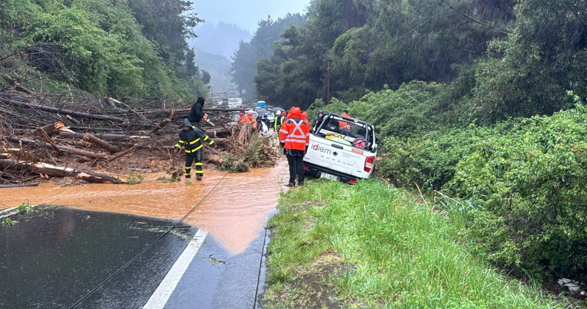 https://media.biobiochile.cl/wp-content/uploads/2026/09/ruta-madera-cortada-deslizamiento-tierra.jpg