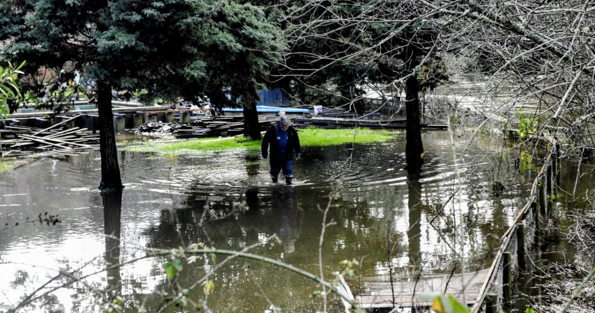 Desborde del río Bío Bío obliga a evacuar sector de Santa Bárbara: activan alerta SAE