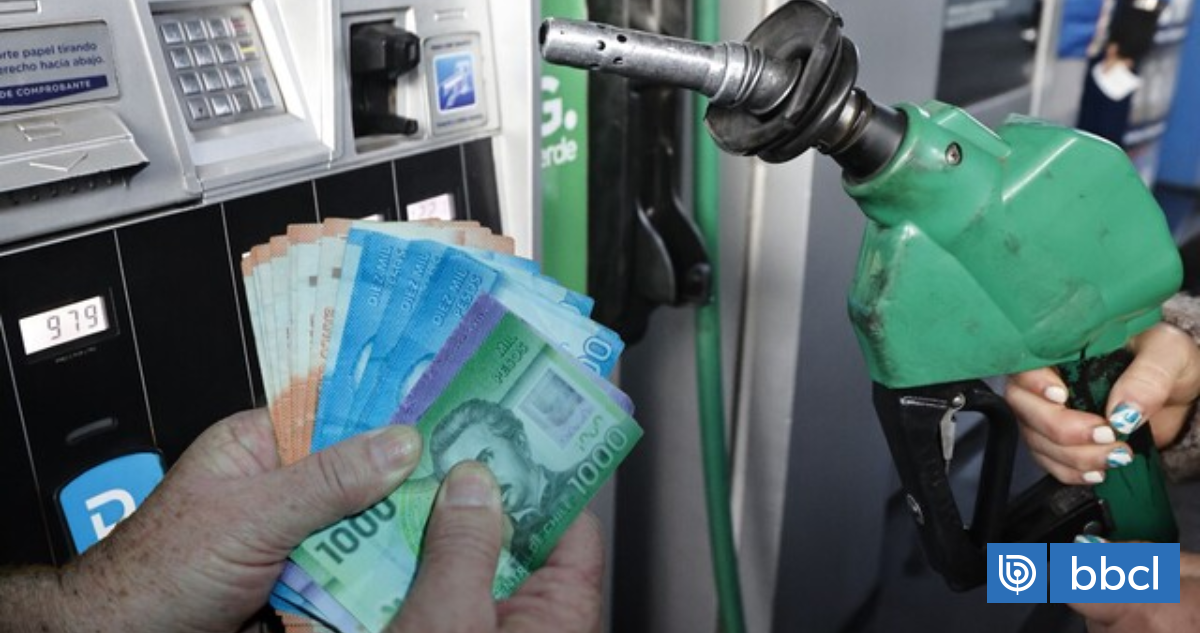¿Rinde menos? Experto analiza si realmente conviene combinar gasolina con etanol