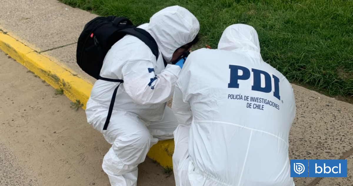 Joven muere apuñalado en cercanías de ramadas de Limache: indagan presunta riña o robo con homicidio