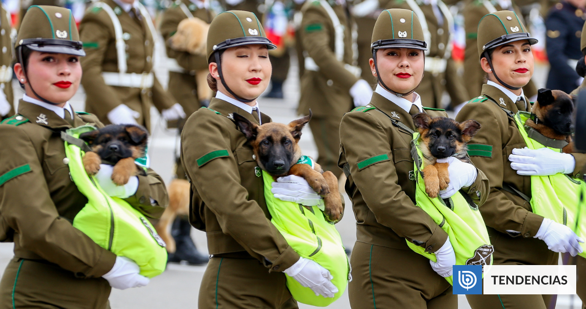 "Firmes frente al delito": cachorros de Carabineros sacaron sonrisas en la Parada Militar 2026
