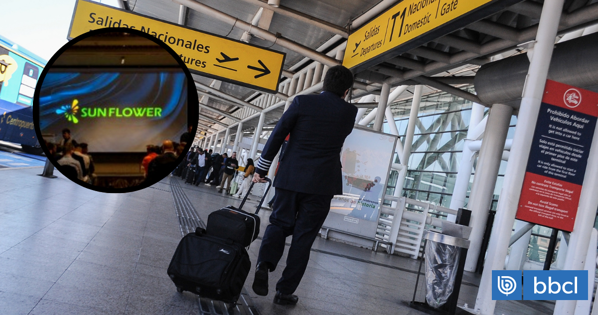 Detienen en aeropuerto a presunta coautora de estafa piramidal vinculada a "Sunflower Technology"