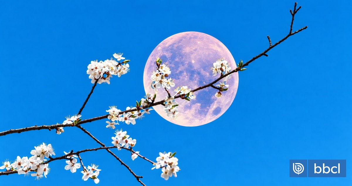 No es este lunes: el día y hora exacta en que comienza oficialmente la primavera en el hemisferio sur