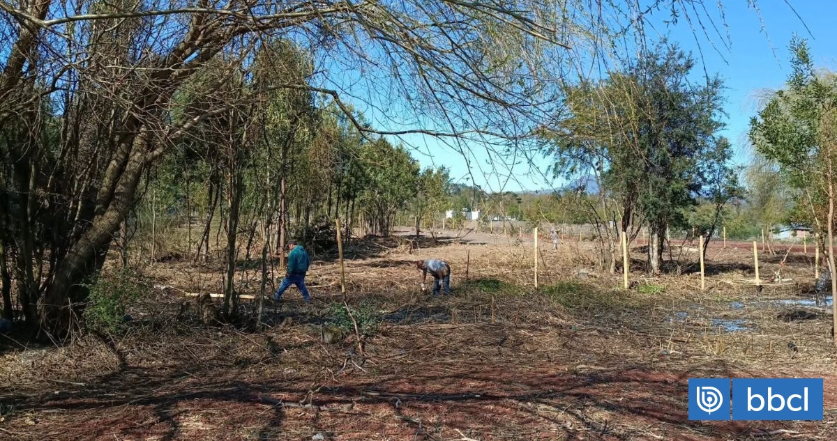 Particular instaló portón y cercos en playa de Coñaripe: BBNN pedirá resolución para sacar estructuras