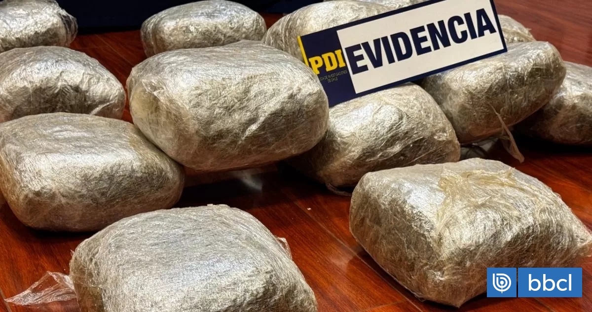 PDI desbarata banda que trasladaba más de 100 kilos de droga desde el norte a Santiago: 5 detenidos