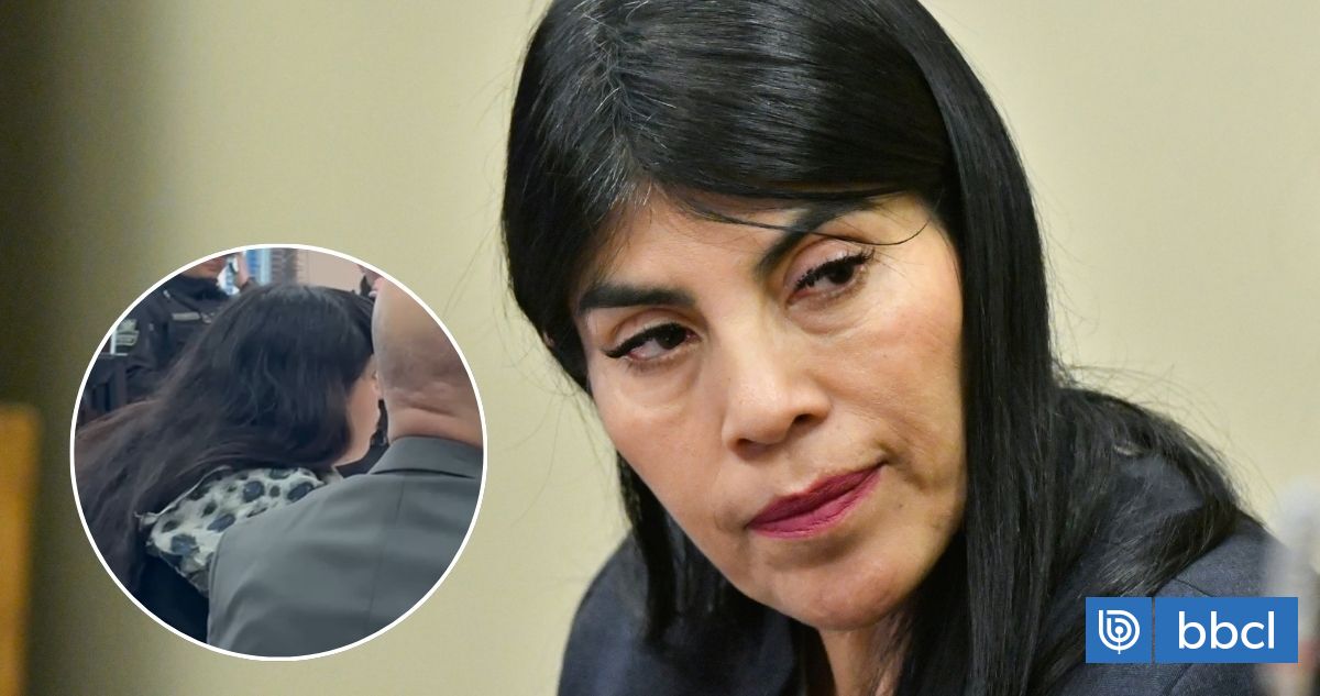"Nunca fue la intención provocarle daño": Estudiantes se disculpan con ministra Lincolao por agresión