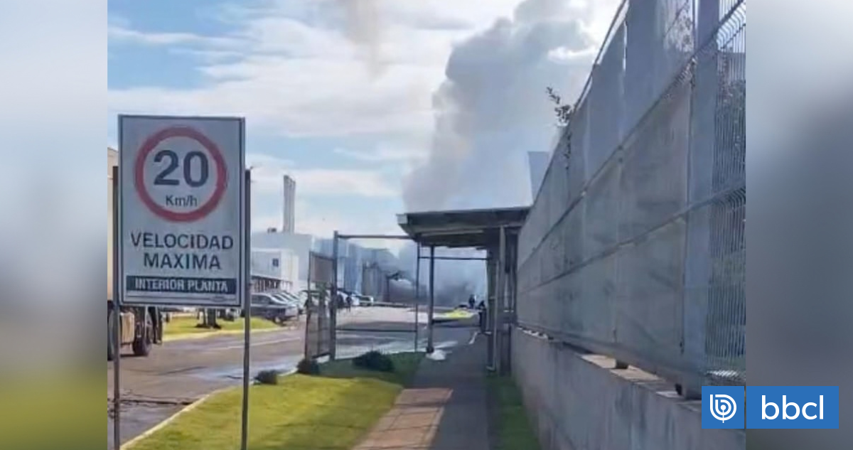 Aumentan a cinco los trabajadores afectados por explosión en planta de Colun en La Unión