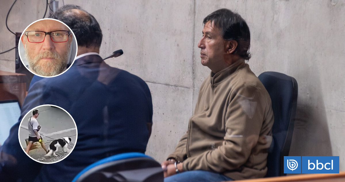 Triple homicidio de La Reina: Ugalde seguirá preso y tribunal descarta curioso peritaje sobre perro