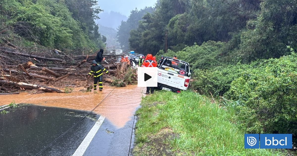 Deslizamientos de tierra generan corte en Ruta de la Madera: Reportan larga fila de vehículos