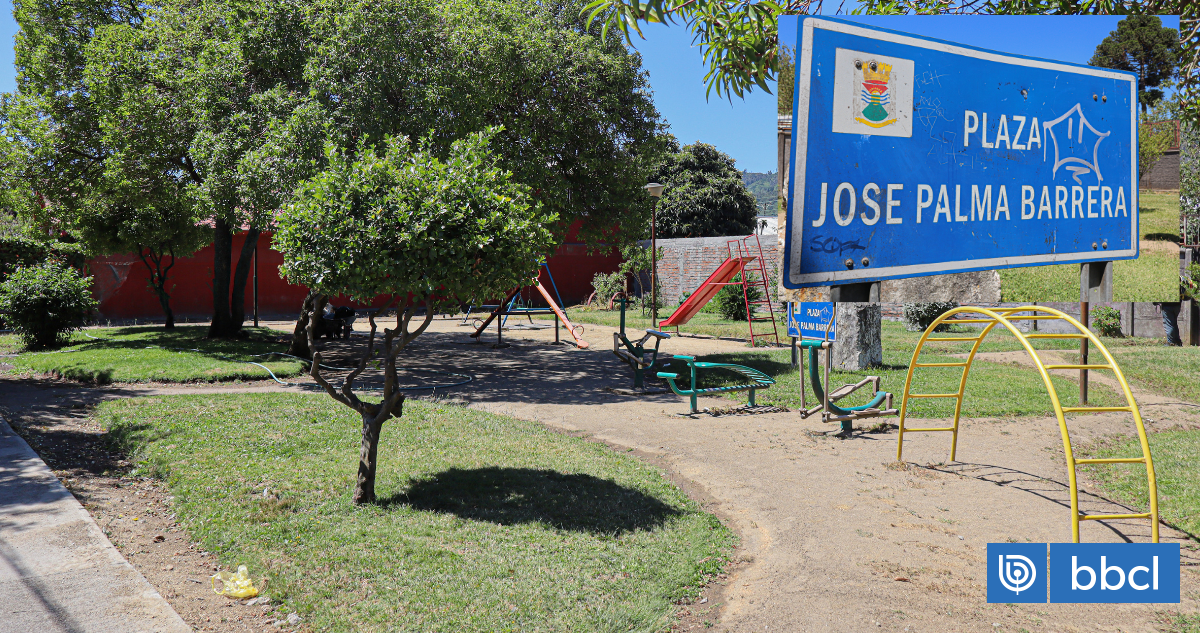 Justicia le da la razón a vecino que compró la mitad de una plaza en Chiguayante pagando $45 millones