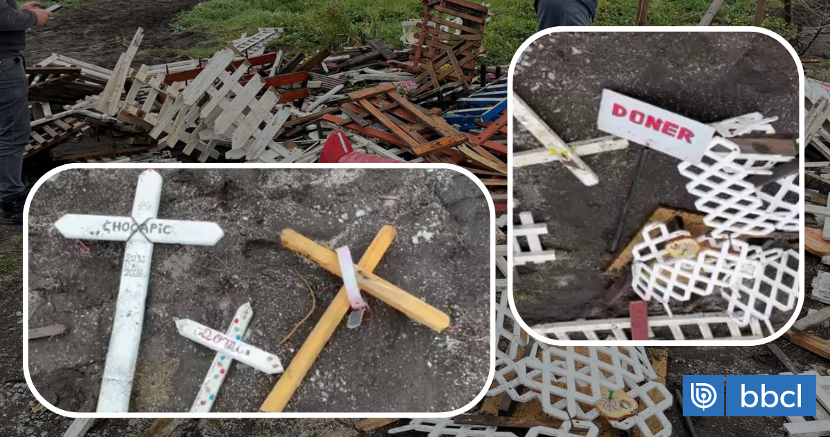 Desolación en Lenga: destruyen cementerio de mascotas con cerca de 200 animitas