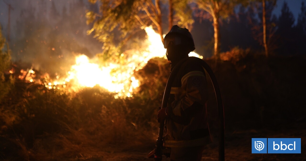 La alerta por verano con temperaturas extremas y el riesgo de incendios: apuntan a "duras" medidas