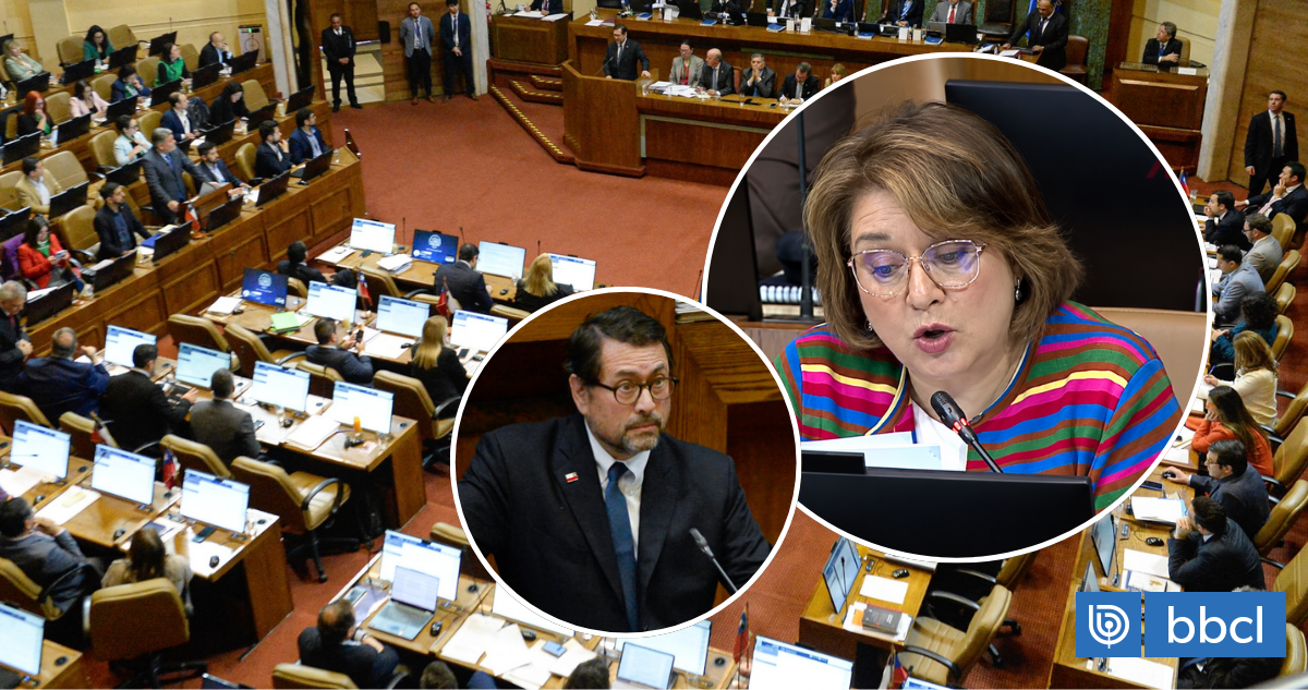 Diputada Parra (PPD):