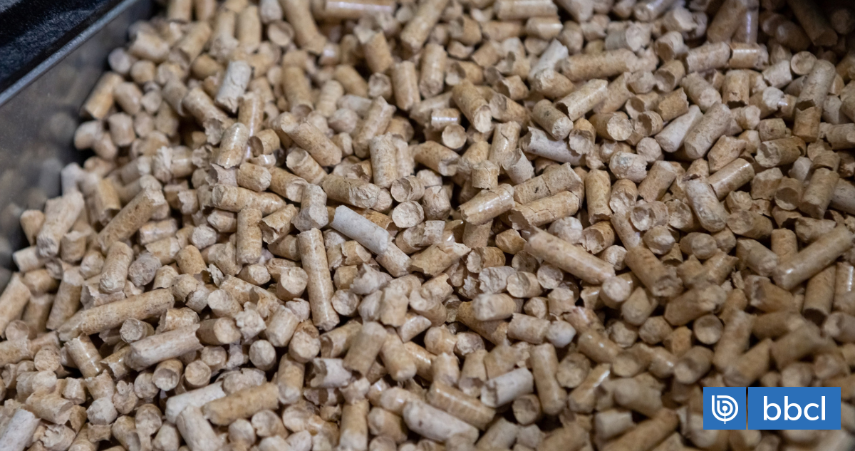 Tras quiebre de stock, comienza a regularizarse abastecimiento y venta de pellet en región de Los Ríos