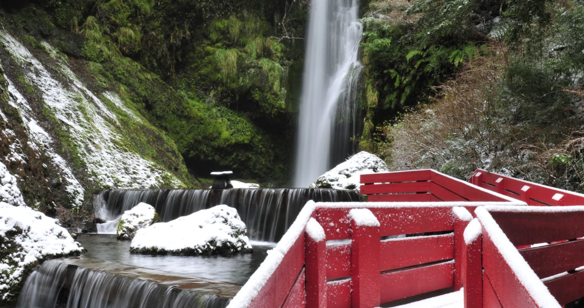 Termas Geométricas en Coñaripe
