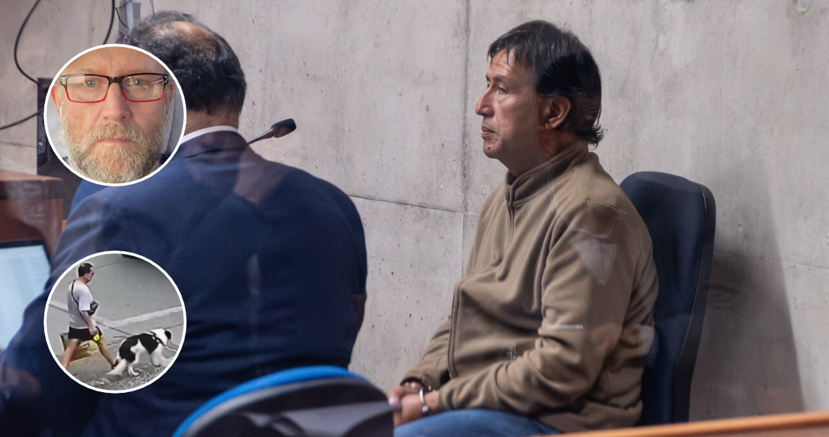 Triple homicidio de La Reina: Ugalde seguirá preso y tribunal descarta curioso peritaje sobre perro