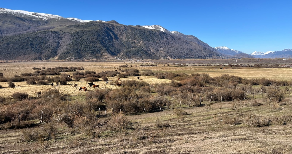 Agricultor denuncia afectación en su campo por uso de pesticidas en aeródromo de Lonquimay