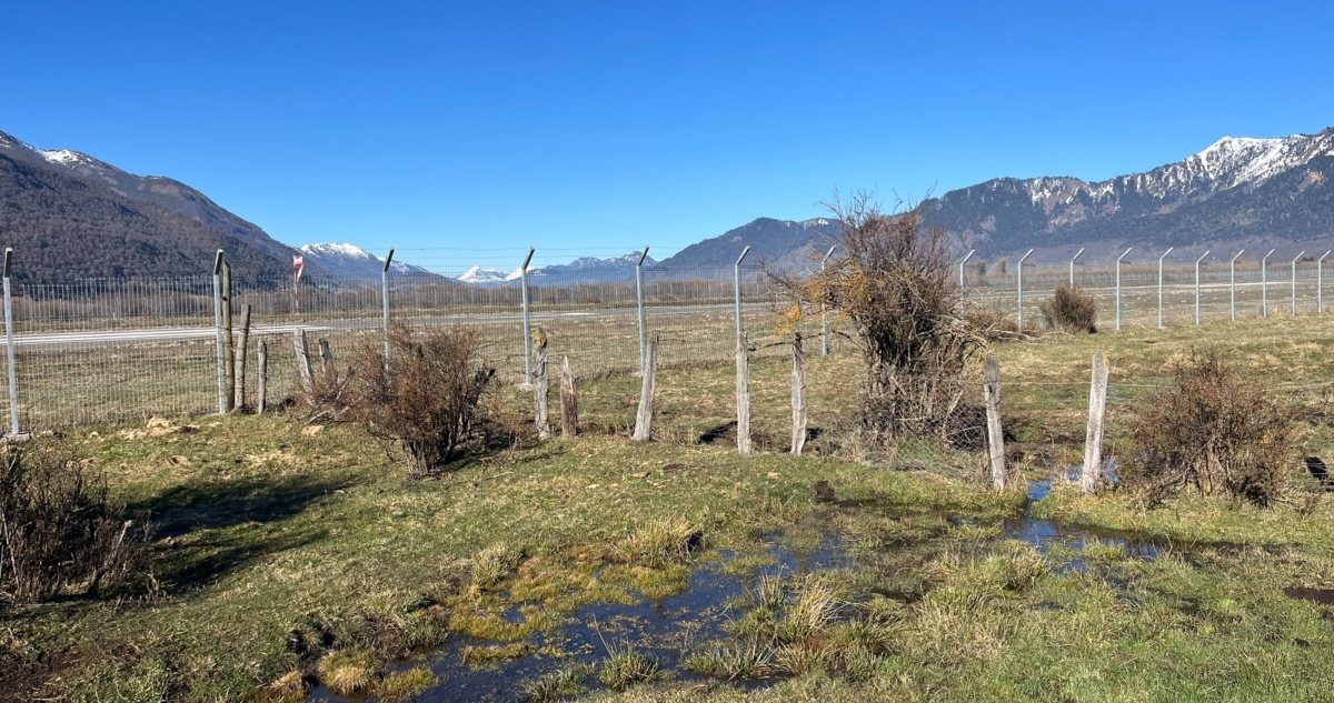 Agricultor denuncia afectación en su campo por uso de pesticidas en aeródromo de Lonquimay