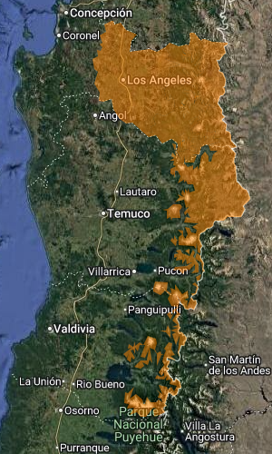 Emiten Alerta por viento Puelche de hasta 100 km/h en zonas del Bío Bío, La Araucanía y Los Ríos