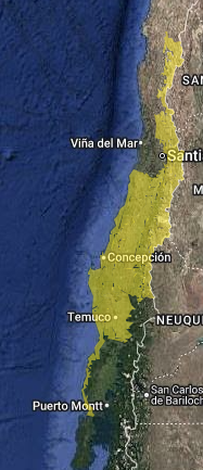 Emiten aviso de vientos con rachas hasta 80 km/h desde Coquimbo a Los Lagos para el fin de semana