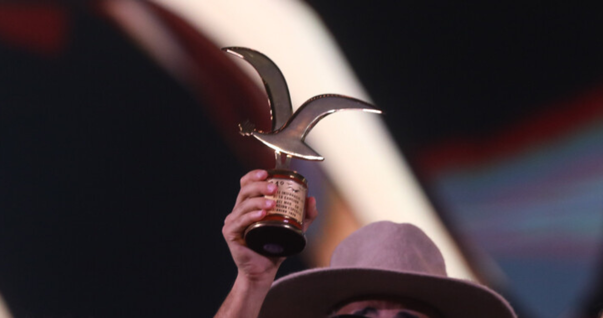 Gaviota en referencia al Festival de Viña
