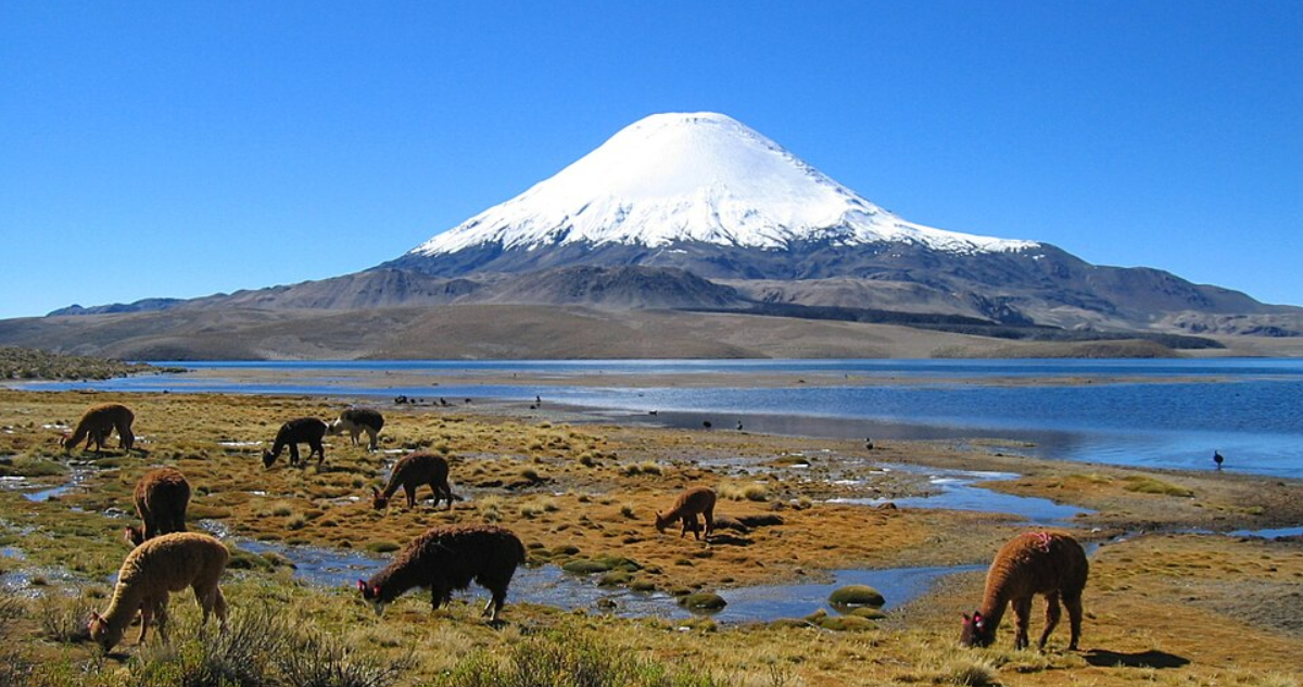 Foto del volcán Parinacota en el Parque Nacional Lauca para ilustrar nota sobre la erupción volcánica en Chile