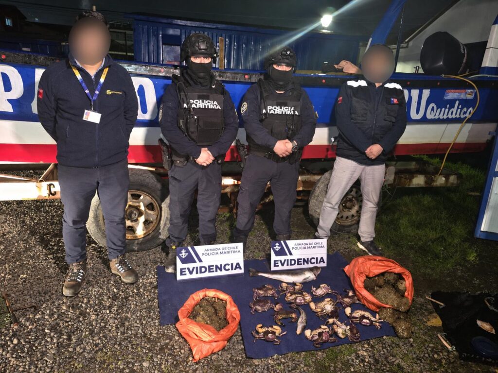 Especies incautadas tras persecución en el mar termina con 5 mariscadores detenidos por robo de especie en veda en Isla Mocha