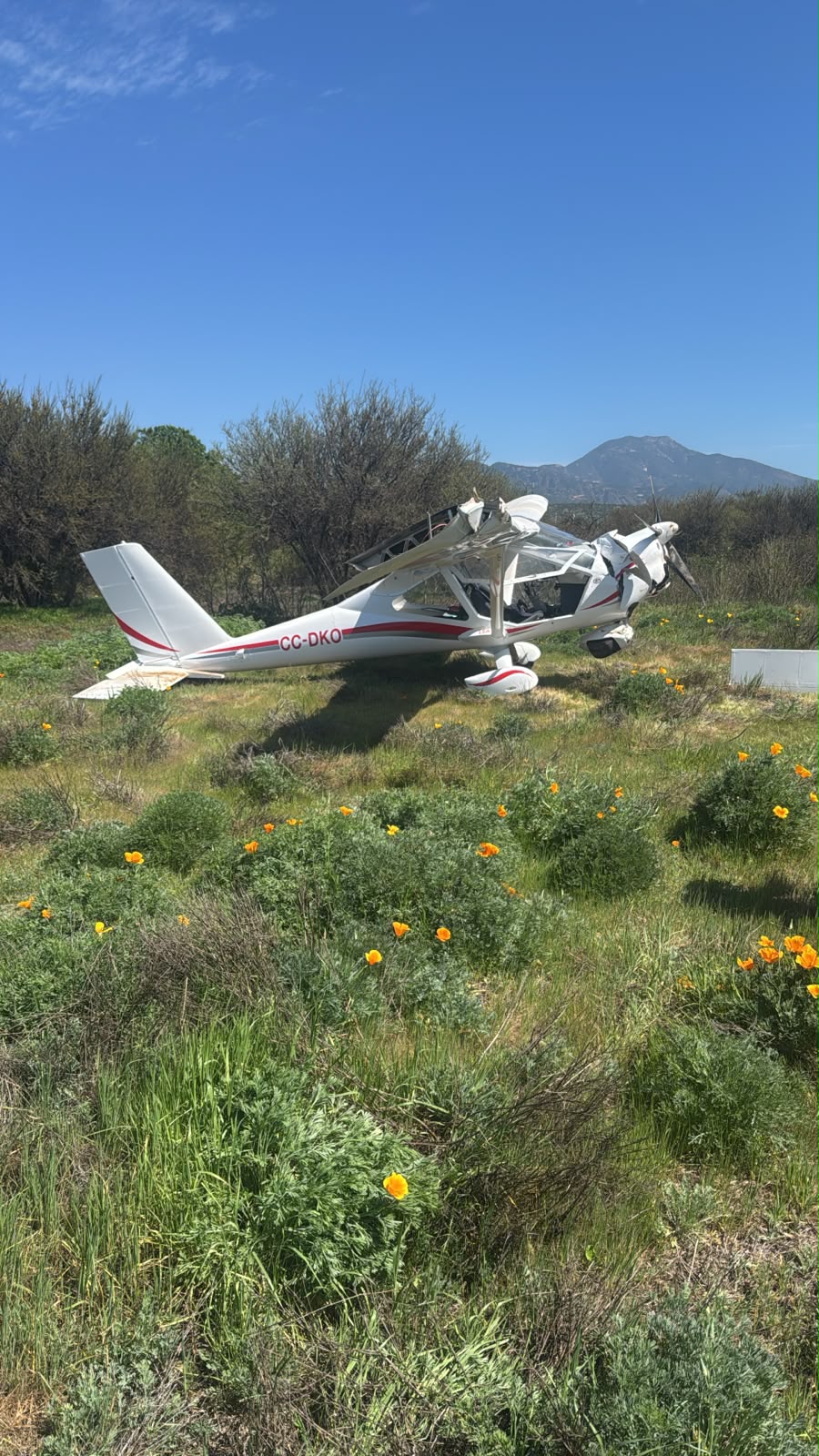 Avioneta cayó en Curacaví