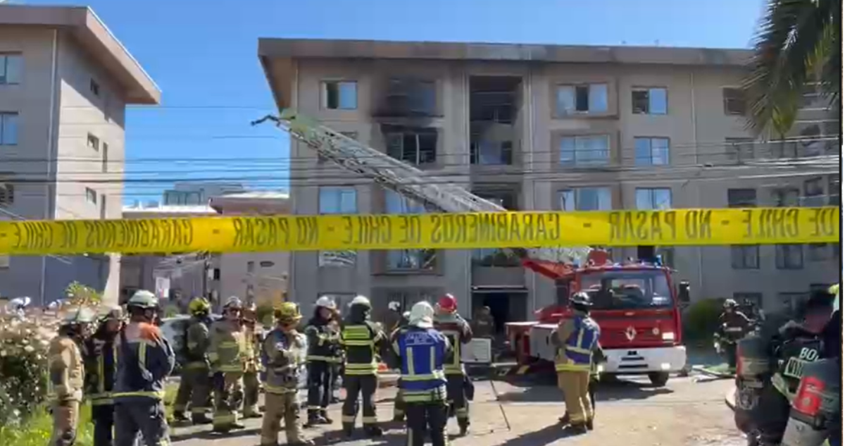 9 animales murieron un incendio que cobró vida de adultos mayores en Concepción: tortuga sobrevivió