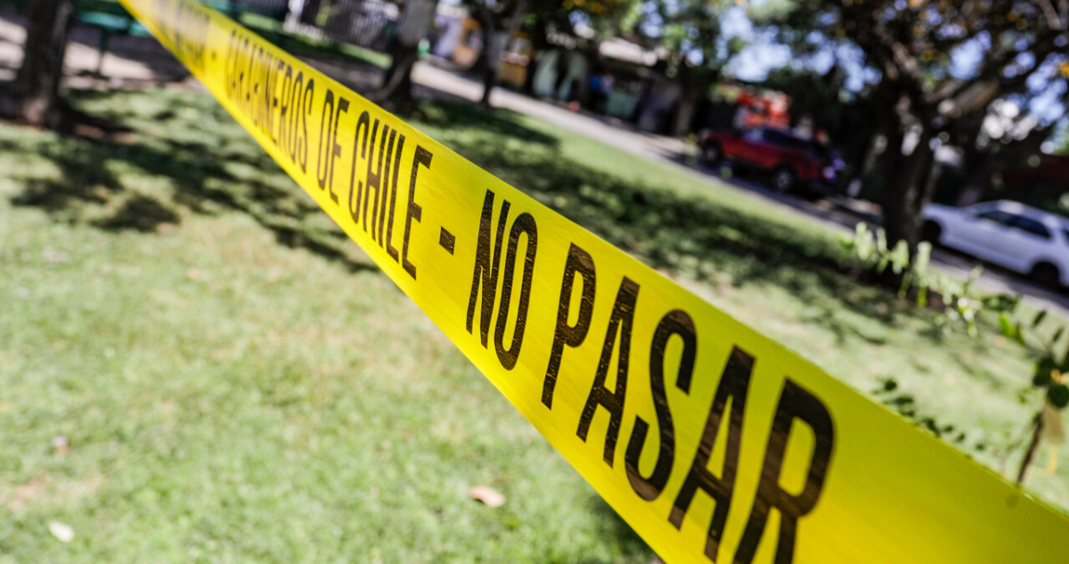 Hombre muere aplastado por árbol en predio forestal en Paillaco: indagan accidente laboral