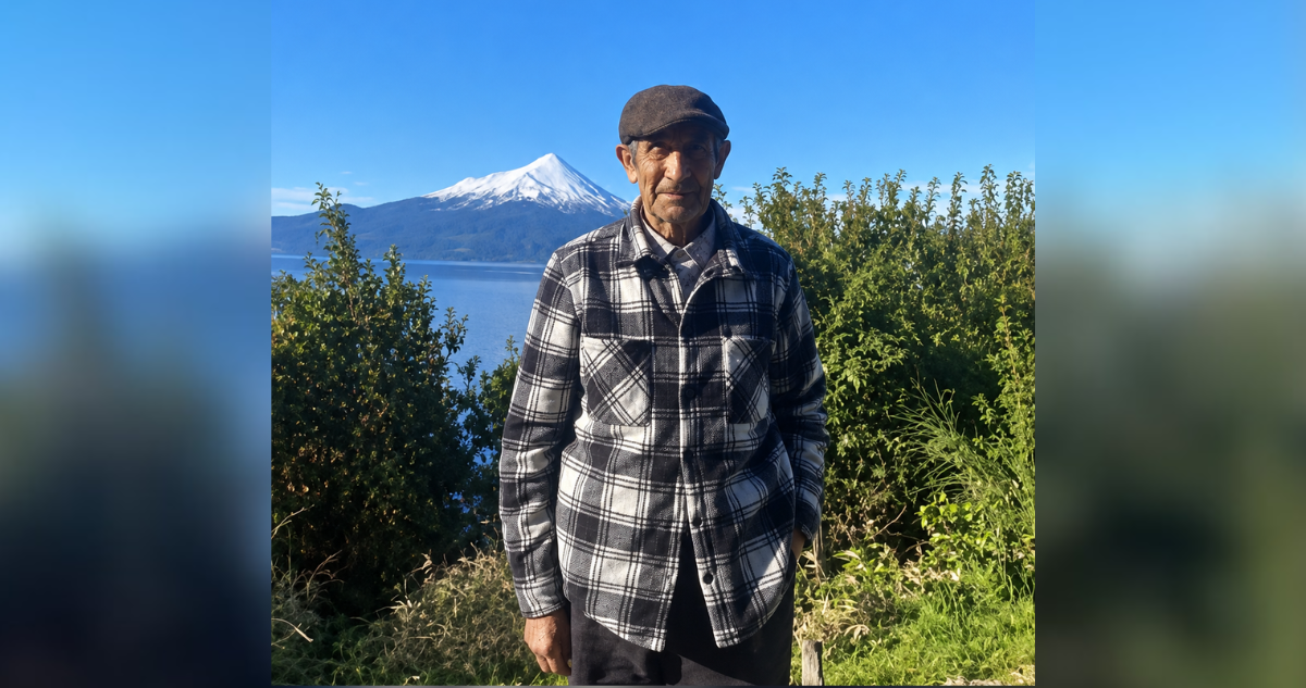Buscan con drones y por tierra a adulto mayor desaparecido en sector rural de Puerto Montt