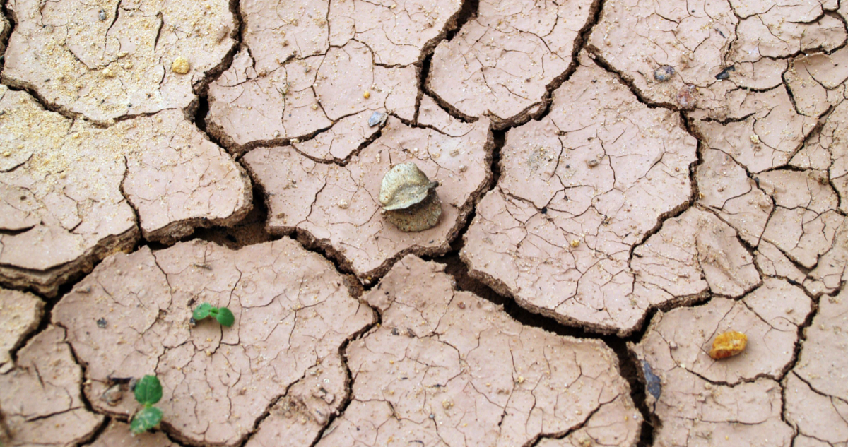 Imagen referencial para ilustrar nota sobre el cambio climático