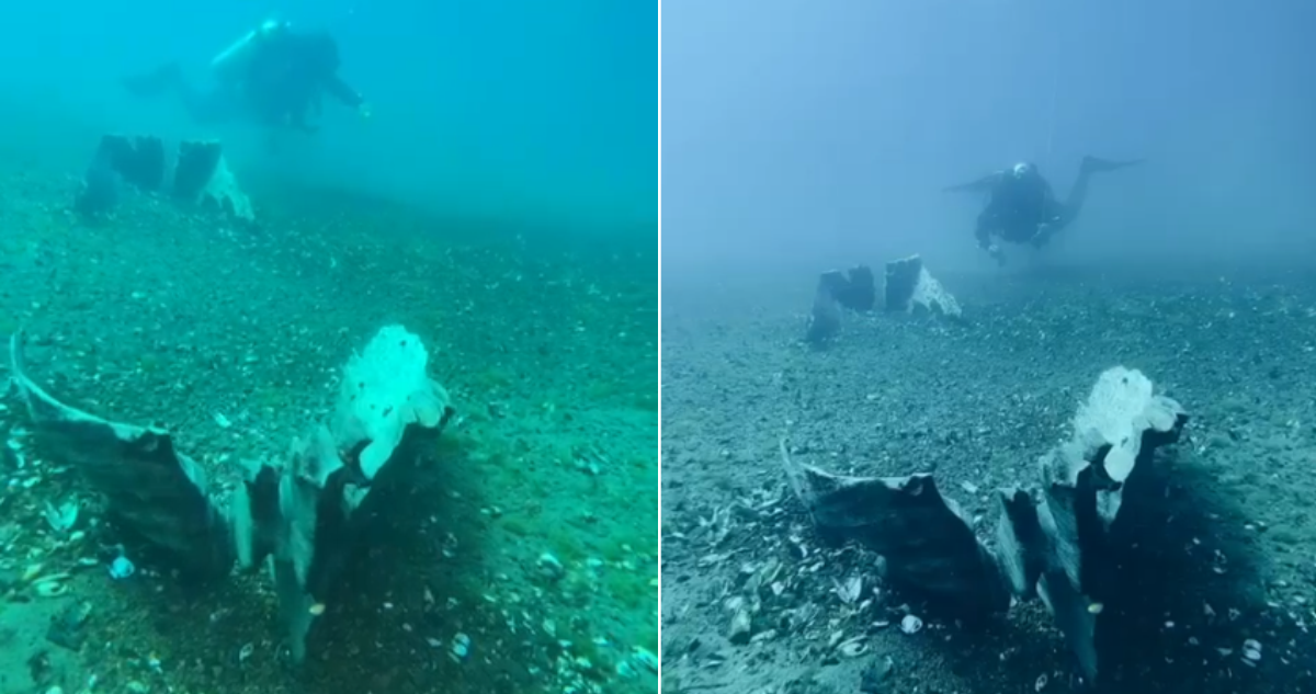 VIDEOS | Hallan embarcación ancestral Wampo, de más de 300 años, en profundidades del Lago Llanquihue