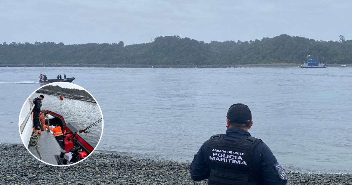Denuncian sabotaje en centro de cultivo de salmones en Calbuco: red de jaula tenía corte de 15 metros