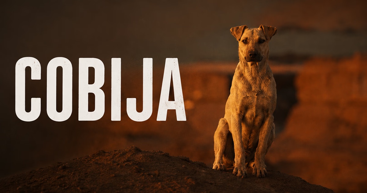 Cobija, de Pamela Pequeño