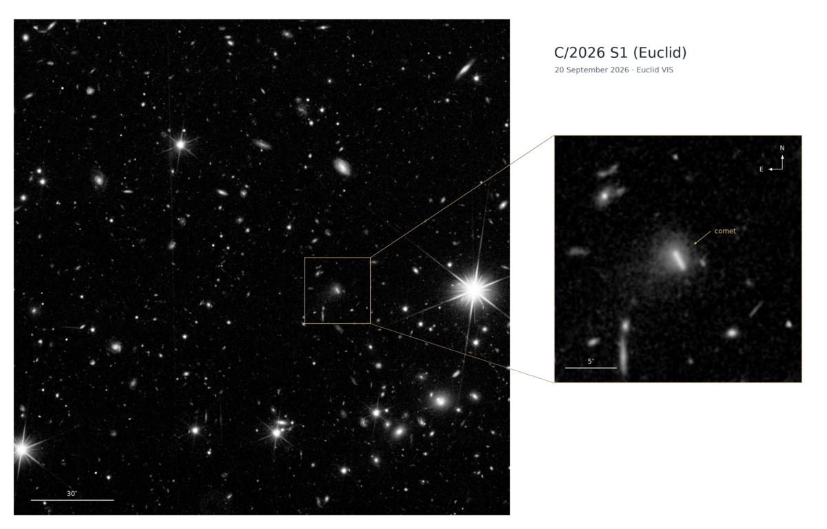 Foto del cometa C/2026 S1 