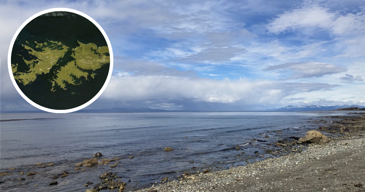 Estrecho de Magallanes. Mapa de Falkland/Malvinas.