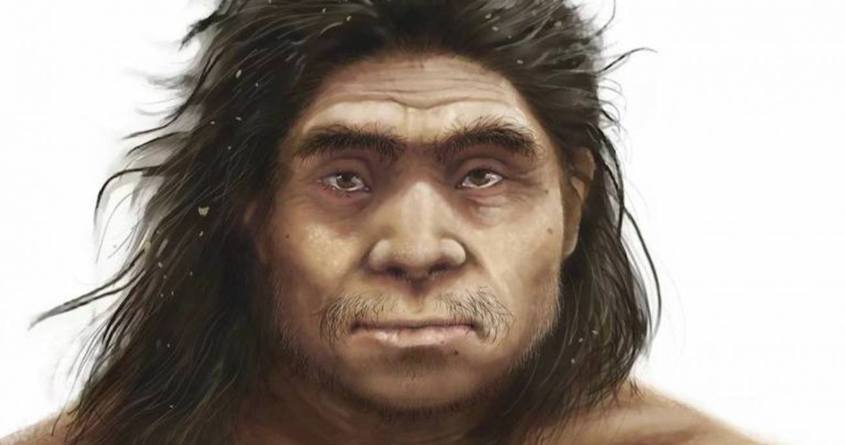 Ilustración del rostro de un denisovano