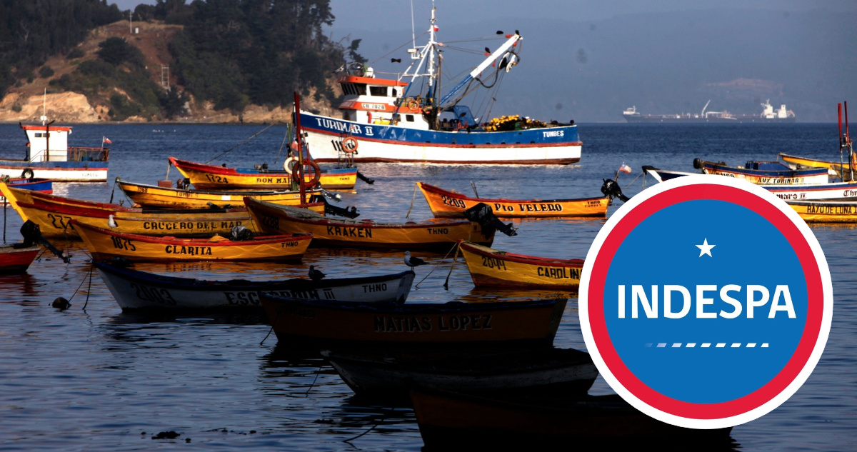 Botes de pesca artesanal. Logo de Indespa.
