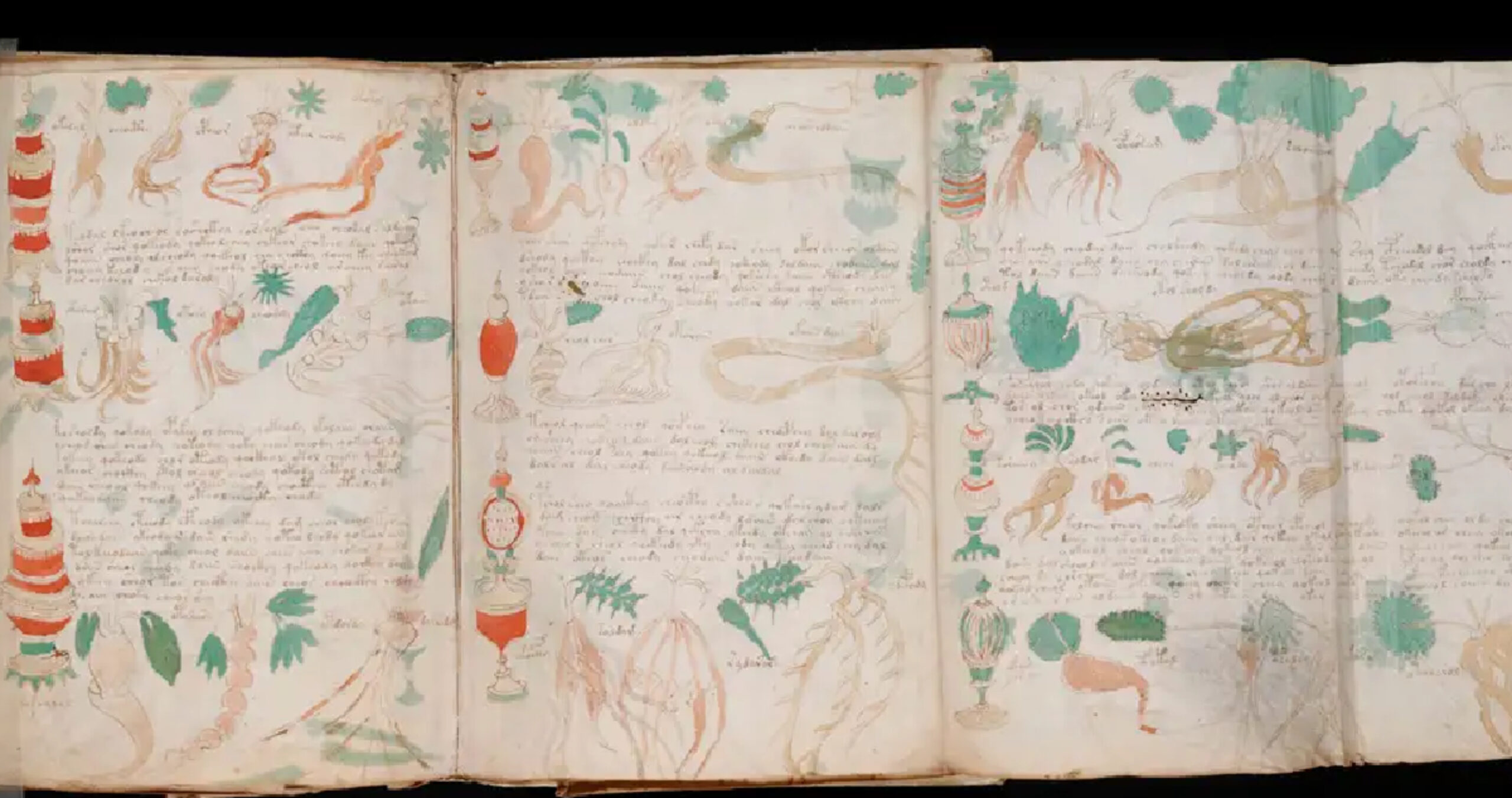 El libro que nadie puede descifrar: la explicación que ayudaría a resolver el Manuscrito Voynich