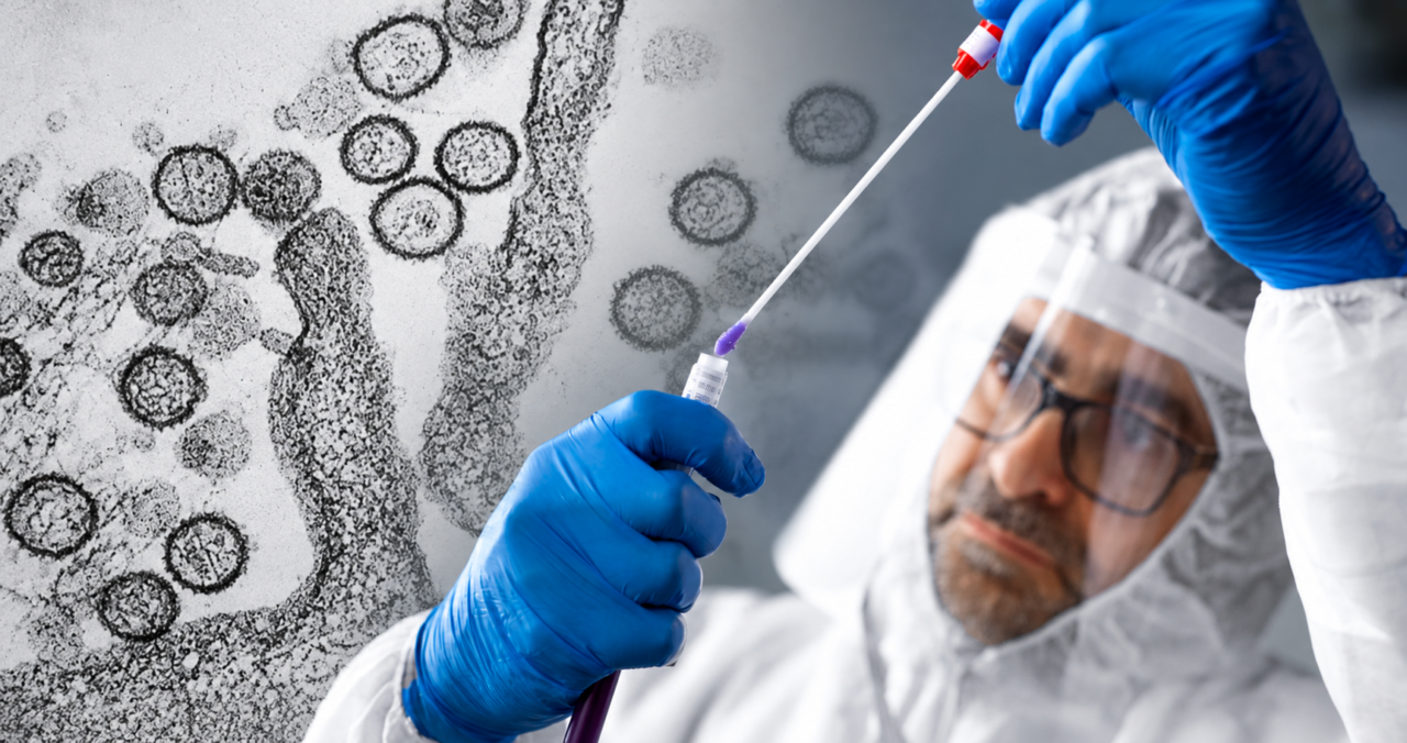 En medio de alerta sanitaria: así avanza test rápido para detectar hantavirus desarrollado desde UACH