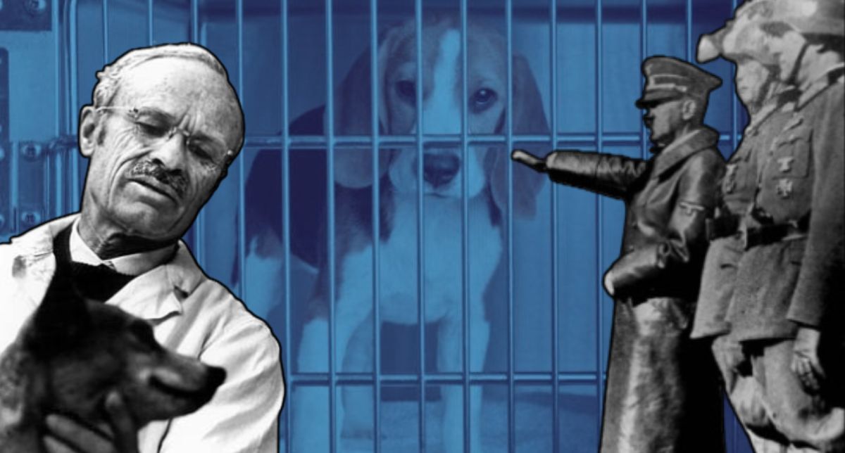 Querían crear un “superperro”: El fallido y controvertido experimento con técnicas nazis en EE.UU
