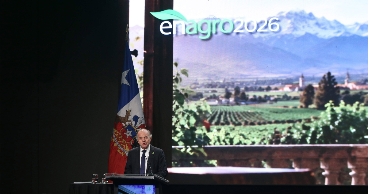 Aranceles de EEUU golpearán al agro chileno con pérdidas de US$800 millones en cuatro años según SNA