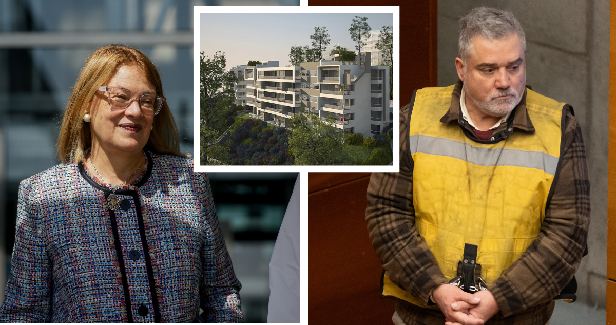 Pagos ligados a Vivanco reabren polémica por fallo sobre Bosque de Reñaca: evalúan acciones judiciales